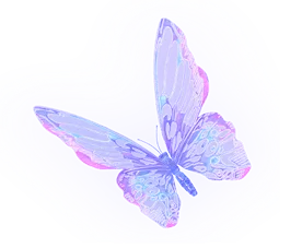 Butterfly right