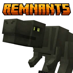 Remnants